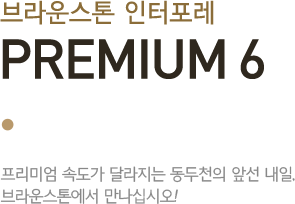 브라운스톤 인터포레 PREMIUM 6